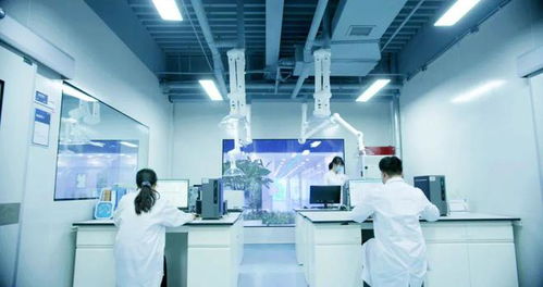 信息技術(shù)咨詢服務(wù)助力企業(yè)應(yīng)對(duì)阿斯巴甜2B類致癌物新規(guī)